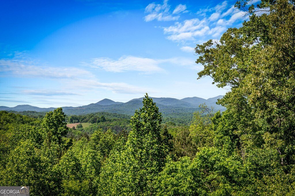 House in Mineral Bluff, Georgia, United States 2 - 17994995
