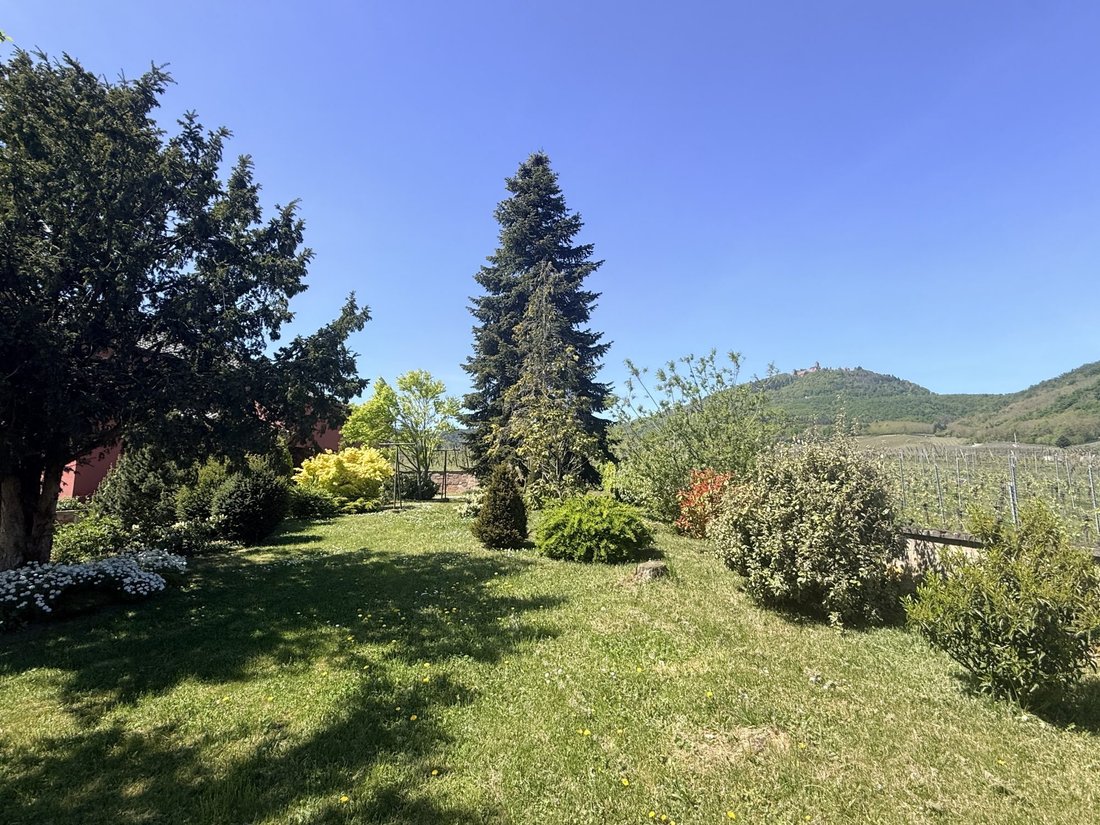 House in Saint-Hippolyte, Grand Est, France 5 - 17990520