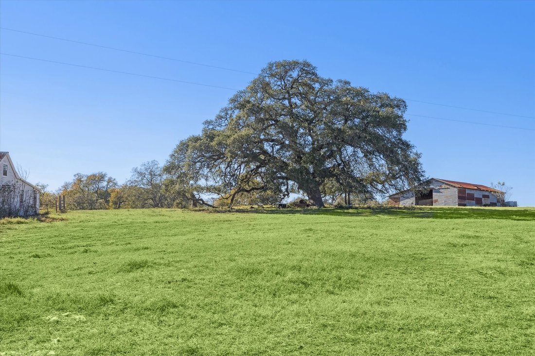 Farm Ranch in Fayetteville, Texas, United States 2 - 17991461