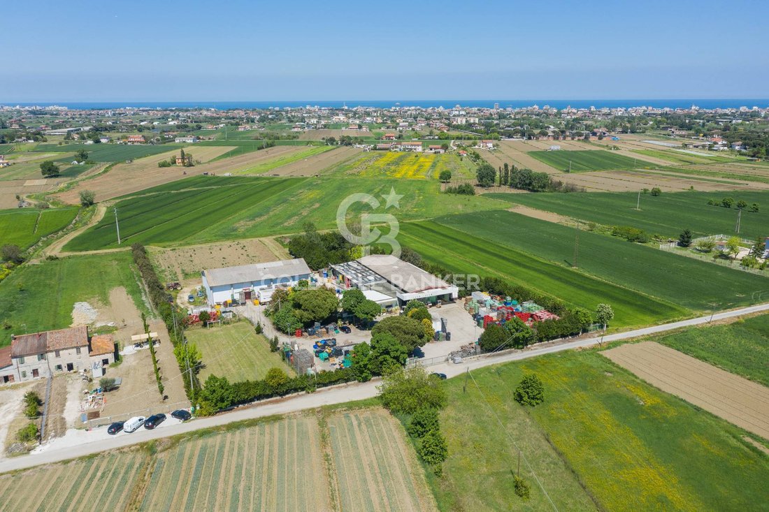 Farm Ranch in Bellaria-Igea Marina, Emilia-Romagna, Italy 3 - 17995522
