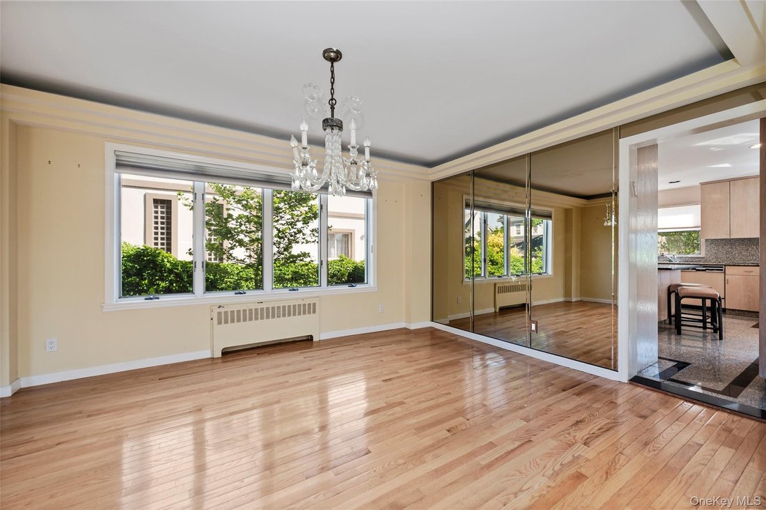 House in New York, New York, United States 5 - 17987004