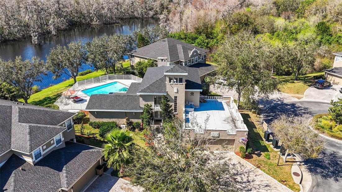 House in Temple Terrace, Florida, United States 1 - 17990999