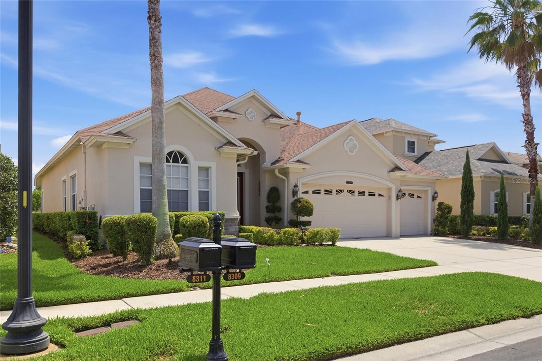 House in Tampa, Florida, United States 3 - 17990984