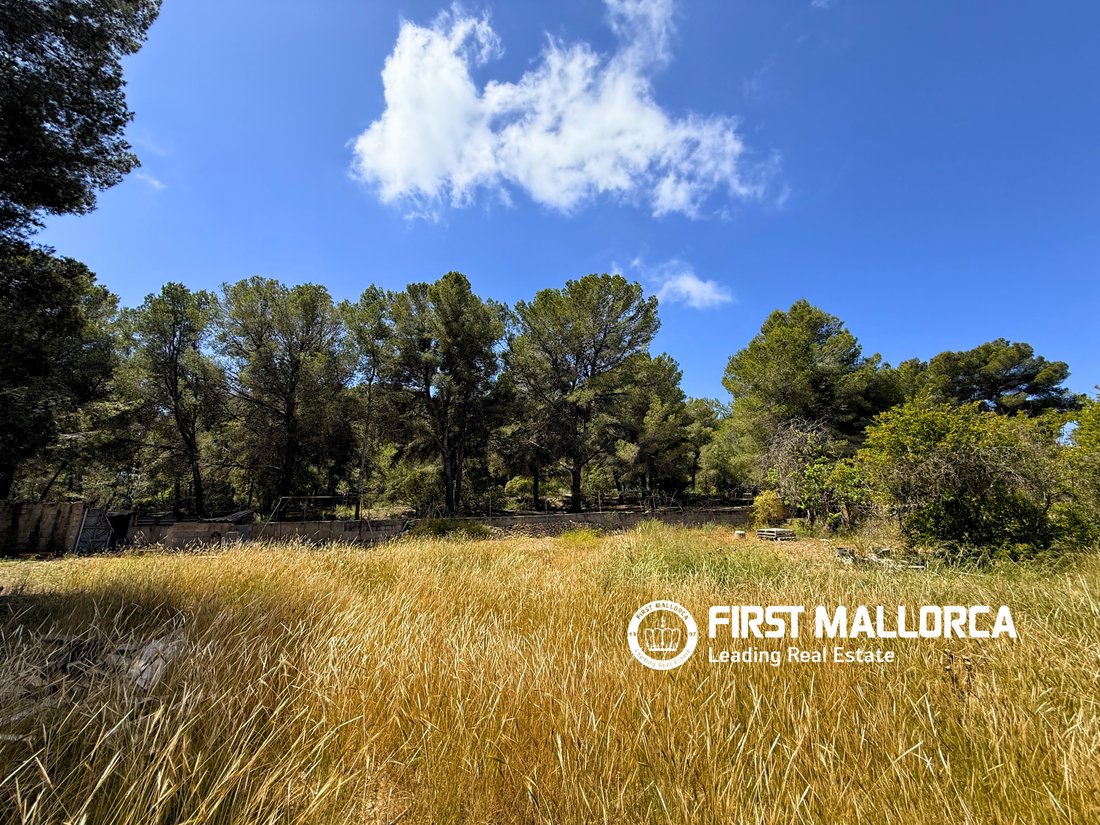 Land in Santa Ponsa, Balearic Islands, Spain 4 - 17985348