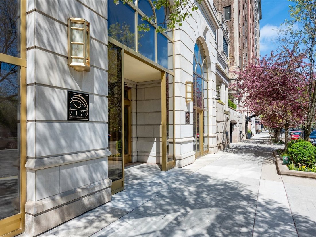 Condo in Chicago, Illinois, United States 1 - 17985325