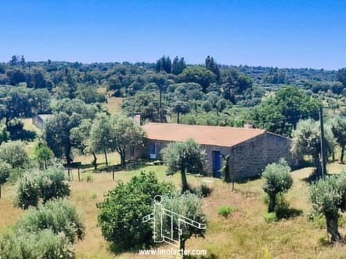 Farm Ranch in Castelo Branco, Castelo Branco District, Portugal 5 - 17991544