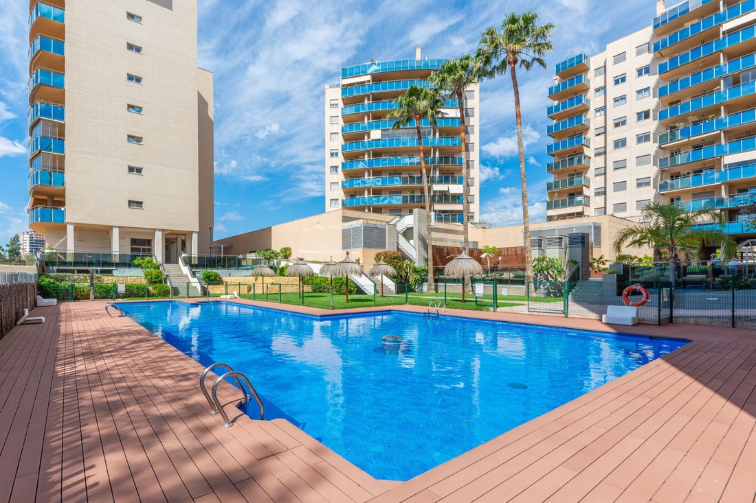 Apartment in el Campello, Valencian Community, Spain 1 - 17986215