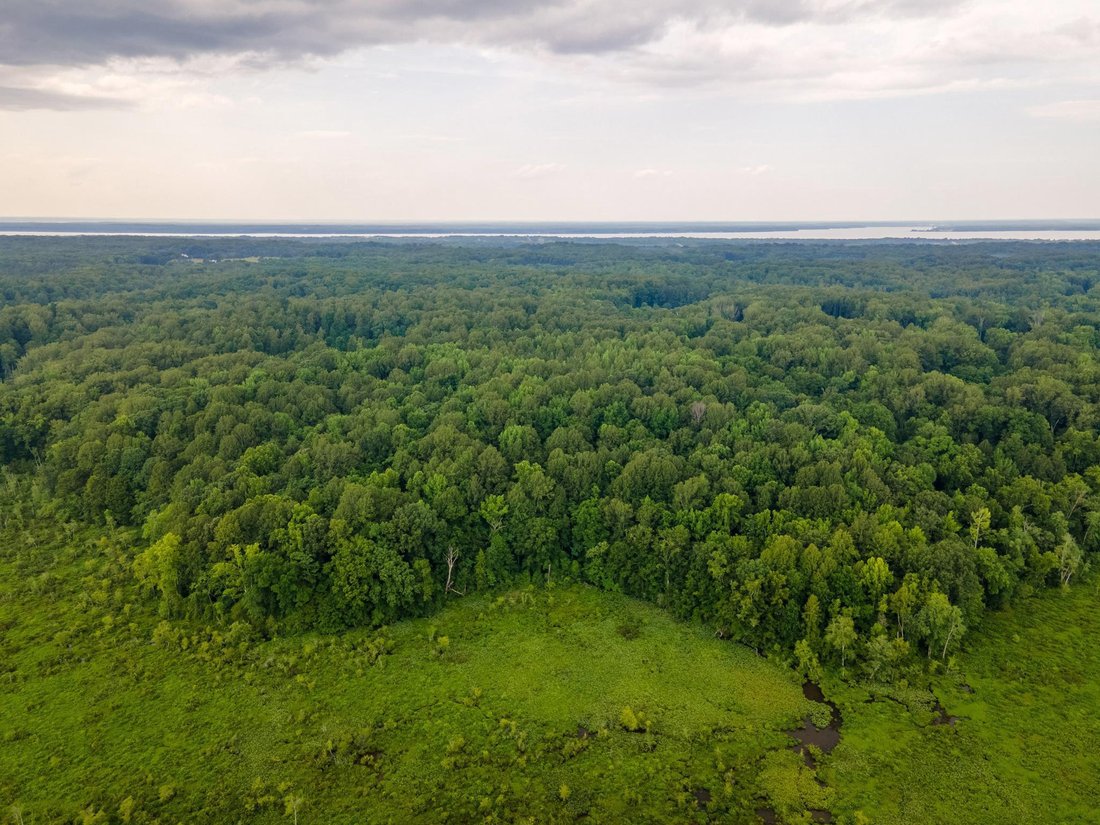 Land in King George, Virginia, United States 5 - 17987075