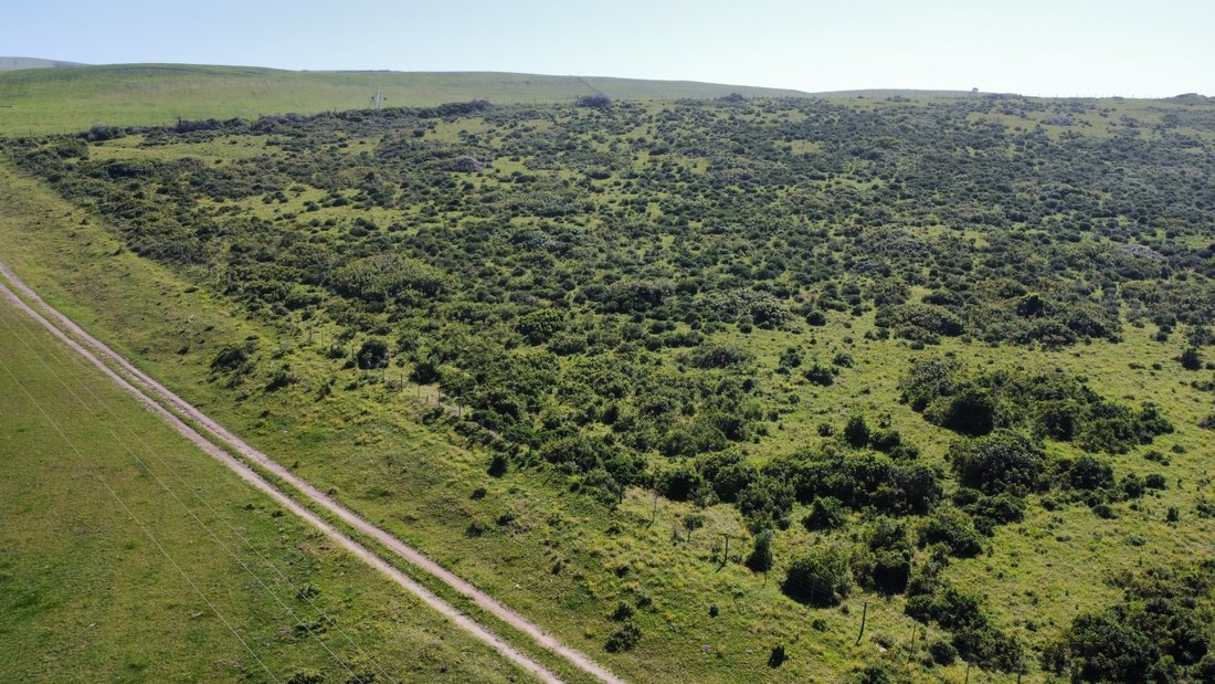 Land in Seafield, Eastern Cape, South Africa 3 - 17986576