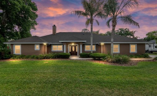 House in Summerfield, Florida, United States 1