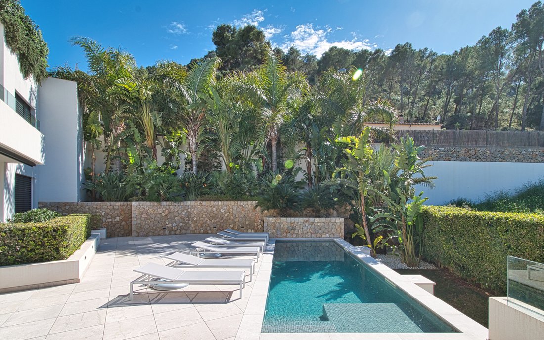 Apartment in Port d'Andratx, Andratx, Balearic Islands 5 - 17985107