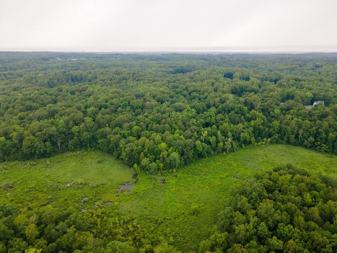 Land in King George, Virginia, United States 3 - 17987075
