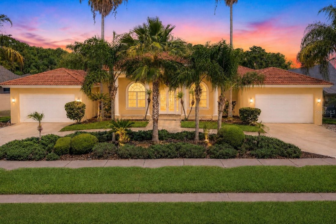House in Palm Harbor, Florida, United States 3 - 17933883