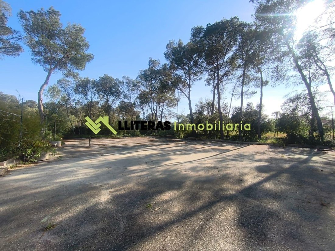 Country House in Algaida, Balearic Islands, Spain 4 - 17989157