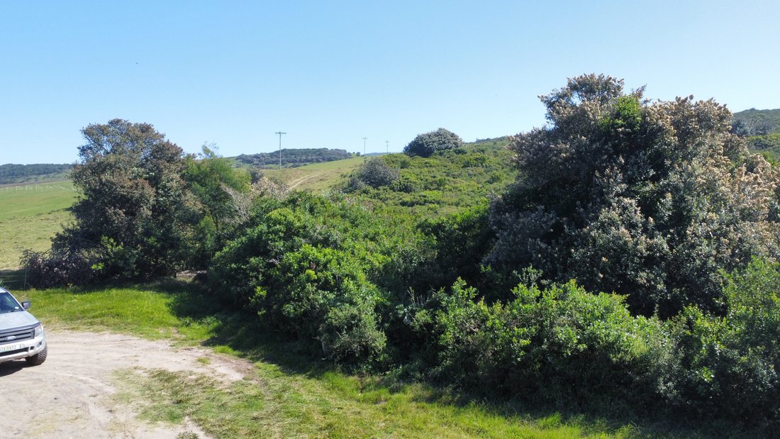 Land in Seafield, Eastern Cape, South Africa 4 - 17986572