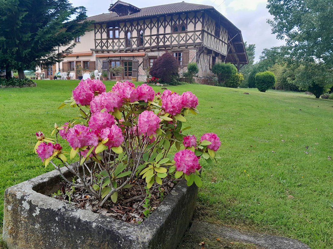 Villa in Arrondissement of Bourg-en-Bresse, Auvergne-Rhône-Alpes, France 1 - 17352677