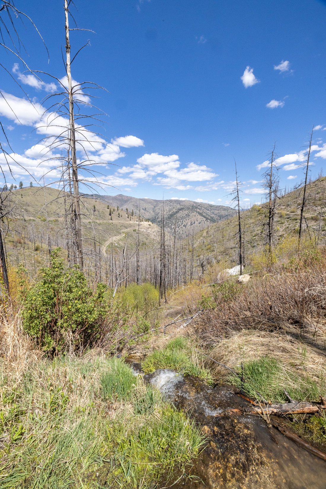 Land in Lolo, Montana, United States 5 - 17991661
