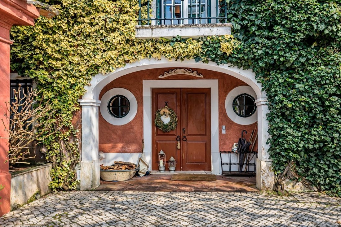 Townhouse in Santo Estevao, Santarem District, Portugal 1 - 17991012