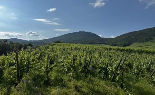 Maison à Saint-Hippolyte, Grand Est, France 1