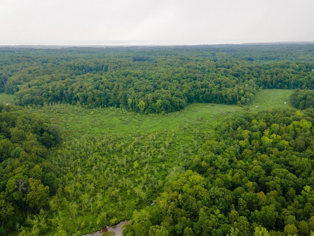 Land in King George, Virginia, United States 4 - 17987075