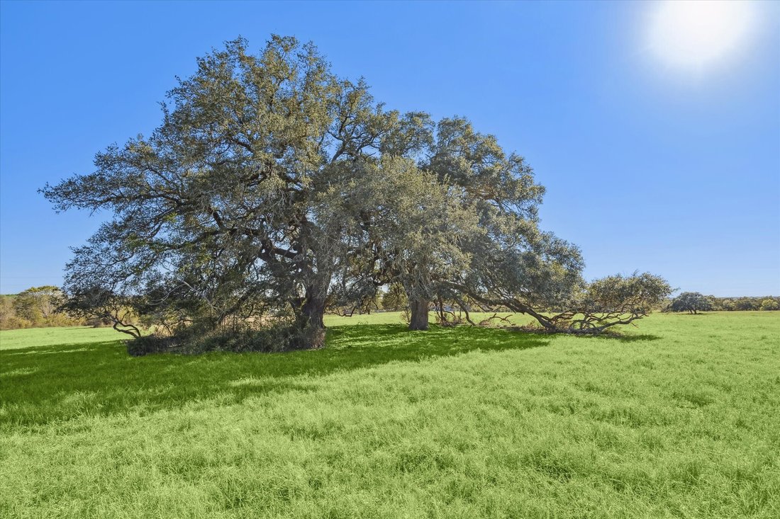 Farm Ranch in Fayetteville, Texas, United States 3 - 17991461