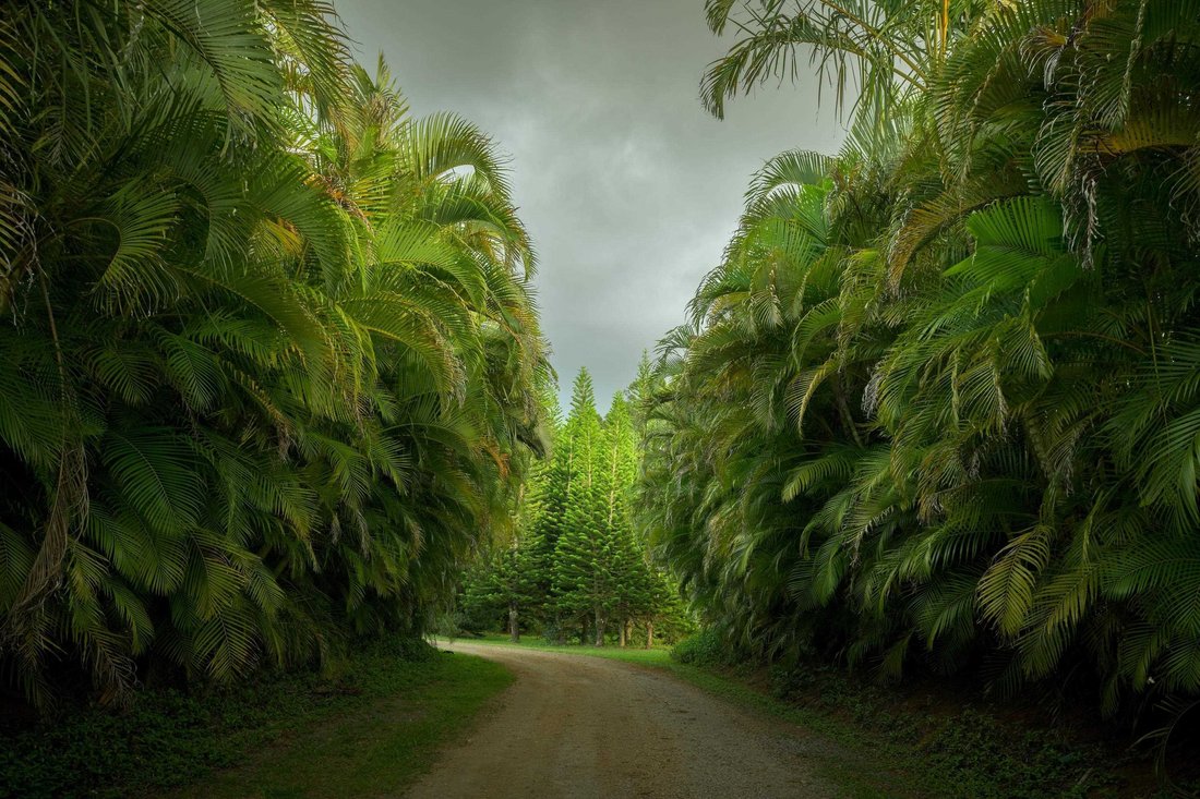 House in Haiku-Pauwela, Hawaii, United States 2 - 17990293