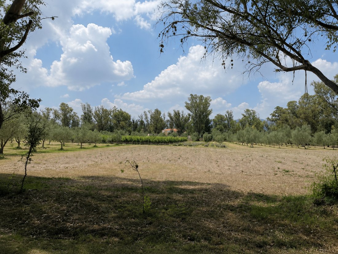 Land in Viñedos San Lucas, Guanajuato, Mexico 5 - 17544667