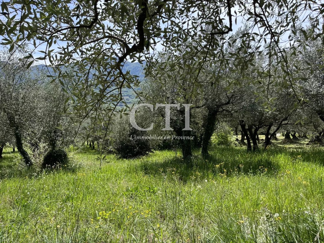 Farm Ranch in Ouest Sud, Vaison-la-Romaine, France 5 - 12478989