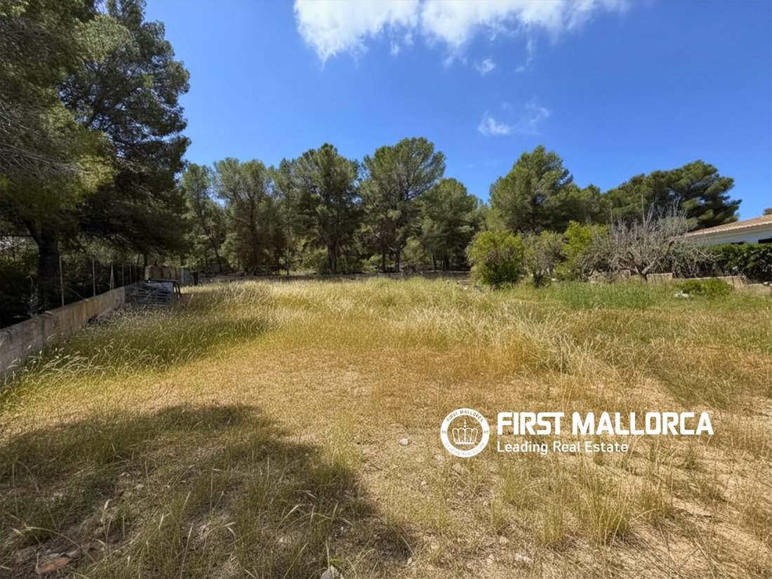 Land in Santa Ponsa, Balearic Islands, Spain 3 - 17985348