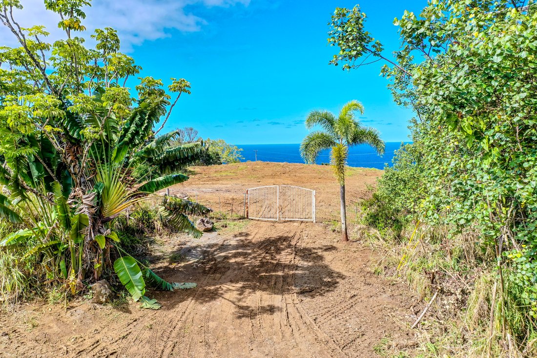 Land in Pepeekeo, Hawaii, United States 5 - 17987103