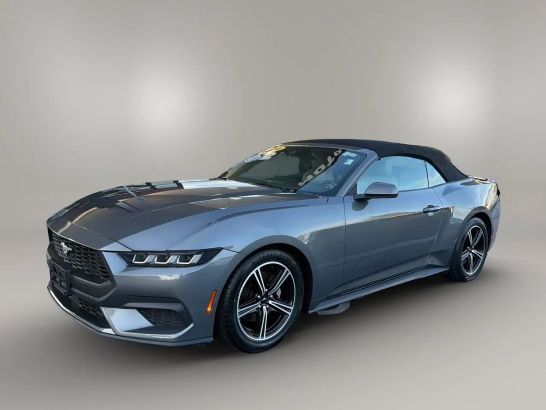 Cabriolet in Fort Myers, FL, United States 2 - 17995281