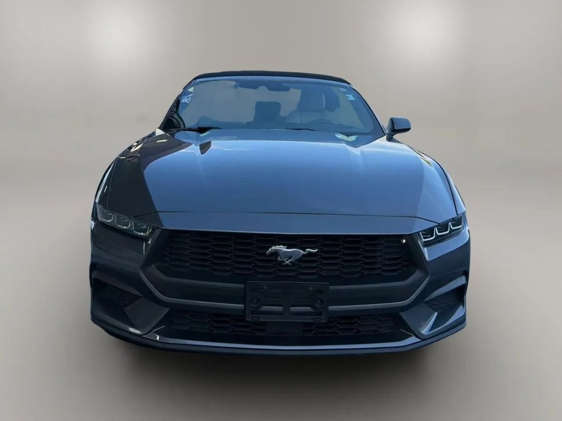 Cabriolet in Fort Myers, FL, United States 4 - 17995281