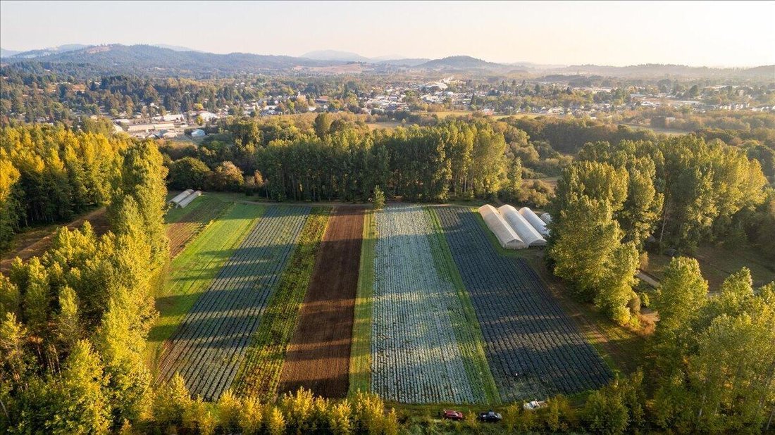 House in Philomath, Oregon, United States 2 - 17989526
