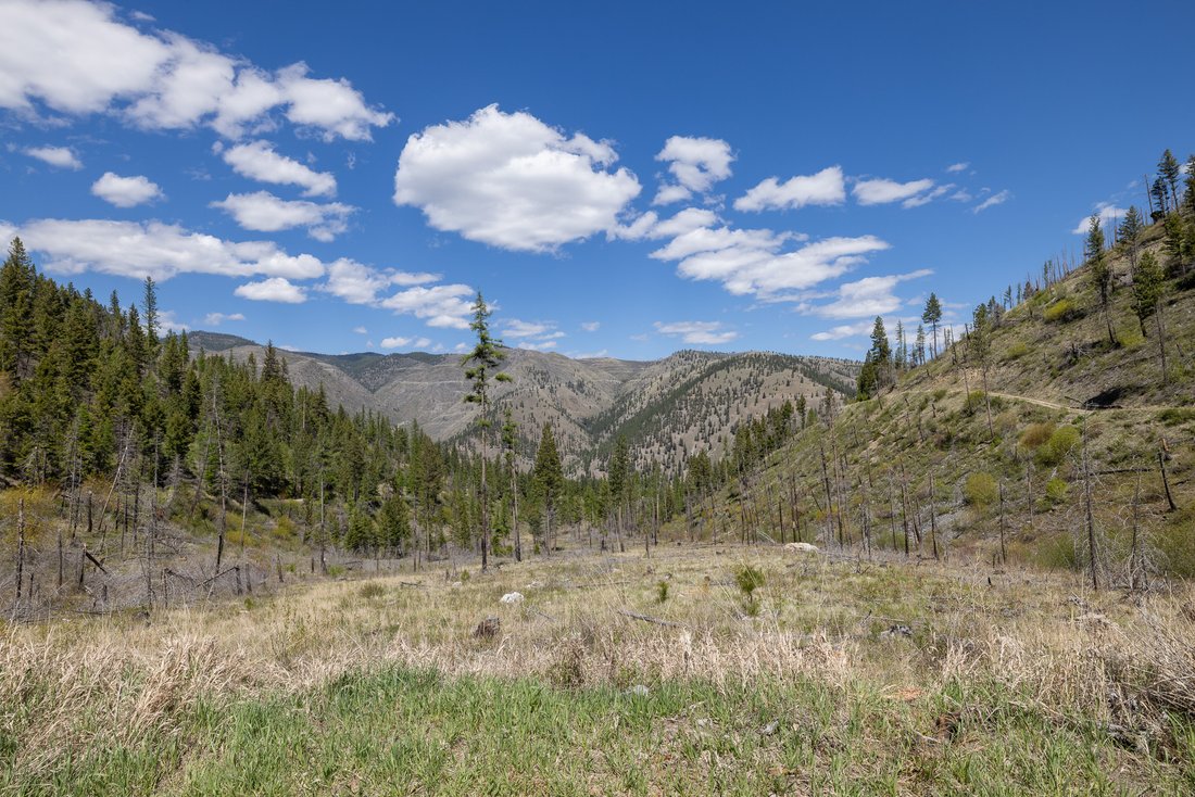 Land in Lolo, Montana, United States 3 - 17991661