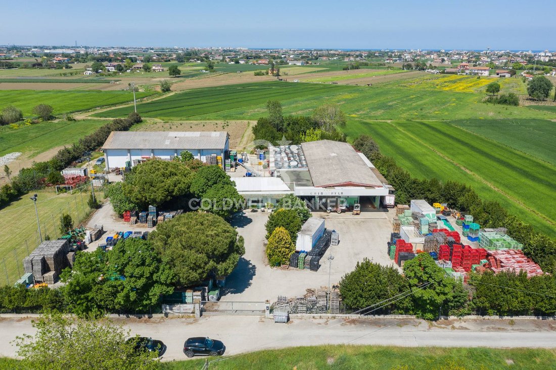 Farm Ranch in Bellaria-Igea Marina, Emilia-Romagna, Italy 5 - 17995522