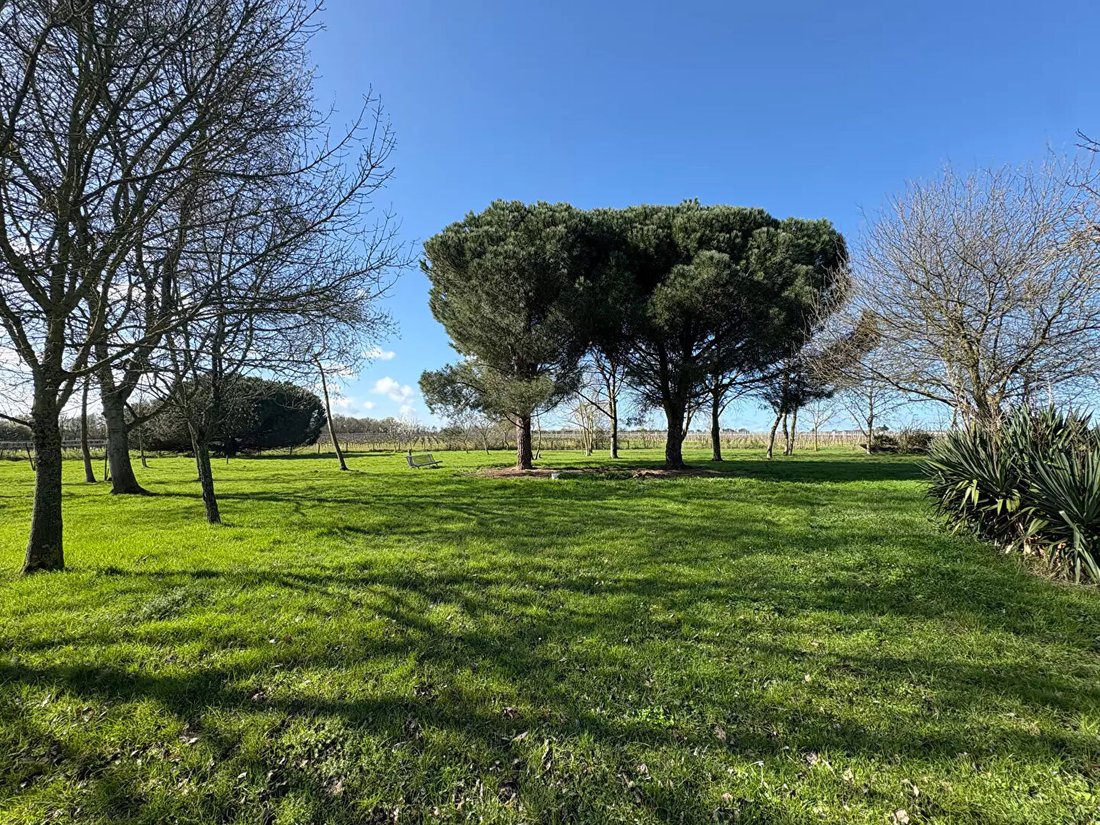 Villa in Saint-Lambert-du-Lattay, Val-du-Layon, France 3 - 17986595