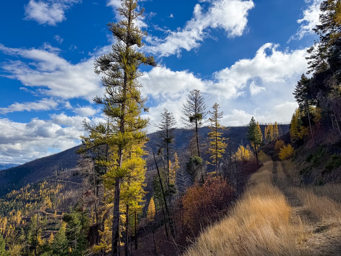 Land in Lolo, Montana, United States 2 - 17991661