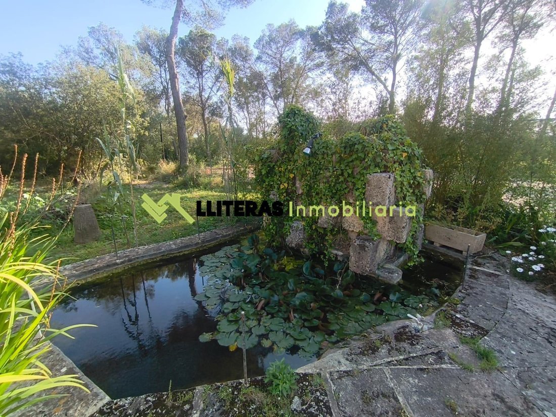 Country House in Algaida, Balearic Islands, Spain 5 - 17989157