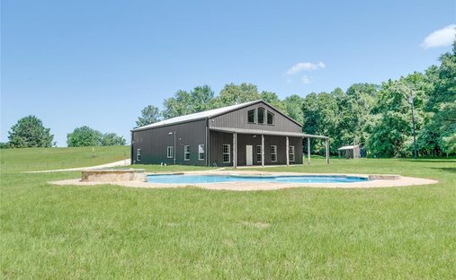 House in Palestine, Texas, United States 1