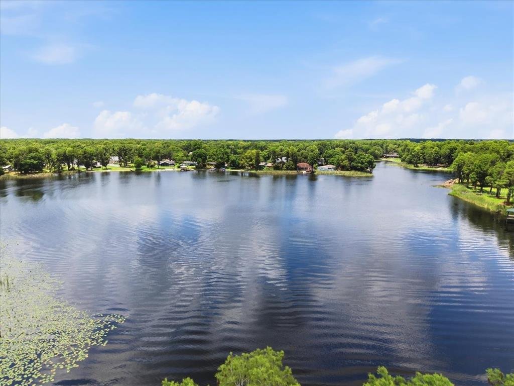 House in Tampa, Florida, United States 2 - 17992850