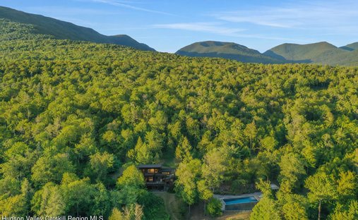 House in Lake Hill, New York, United States 1