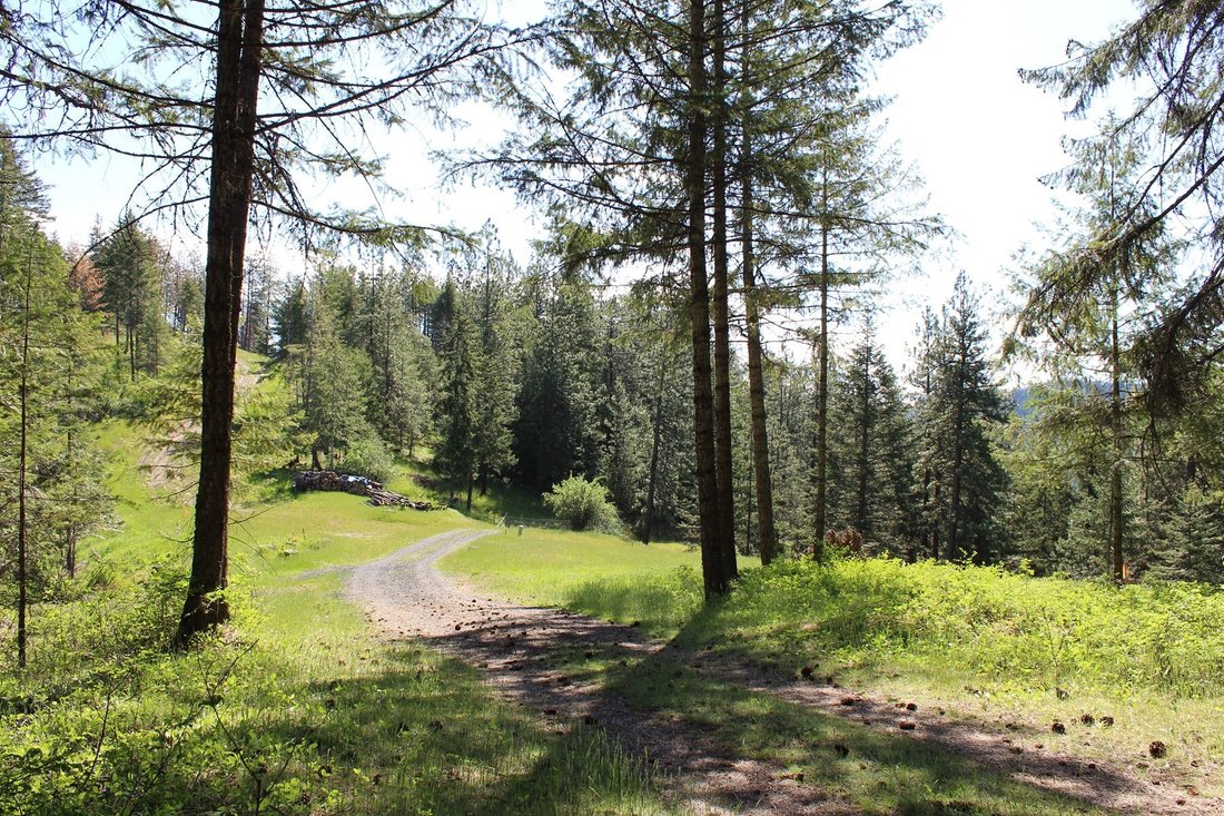 Land in Coeur d'Alene, Idaho, United States 1 - 17993413