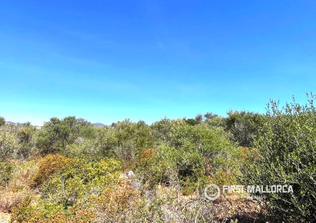 Land in Cala d'Or, Santanyi, Balearic Islands 5 - 17985376