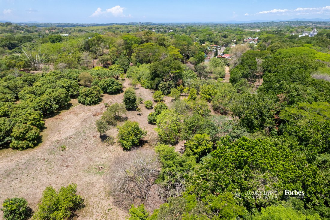 Finca in Coyolar, Alajuela Province, Costa Rica 4 - 17987054