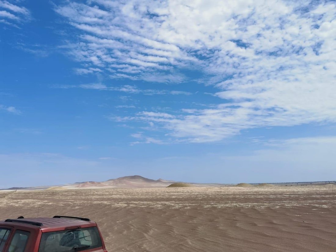 Land in Pisco, Belarus 1 - 17984677