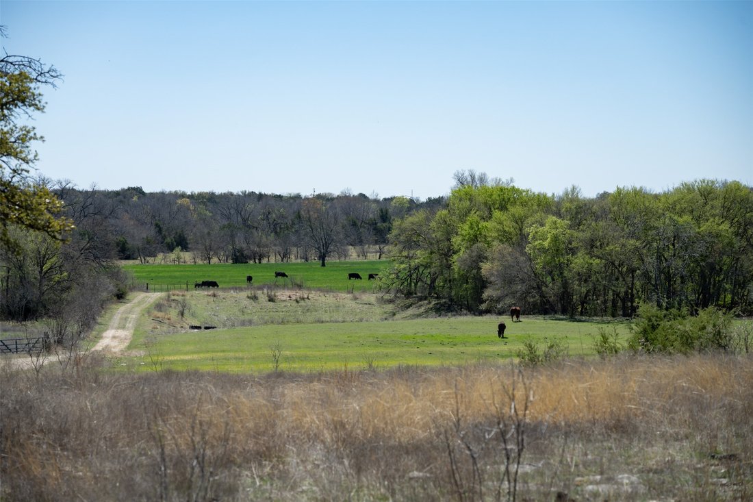 Farm Ranch in Dublin, Texas, United States 2 - 17984030