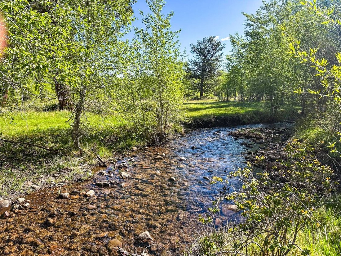 Land in Westcliffe, Colorado, United States 4 - 17984424