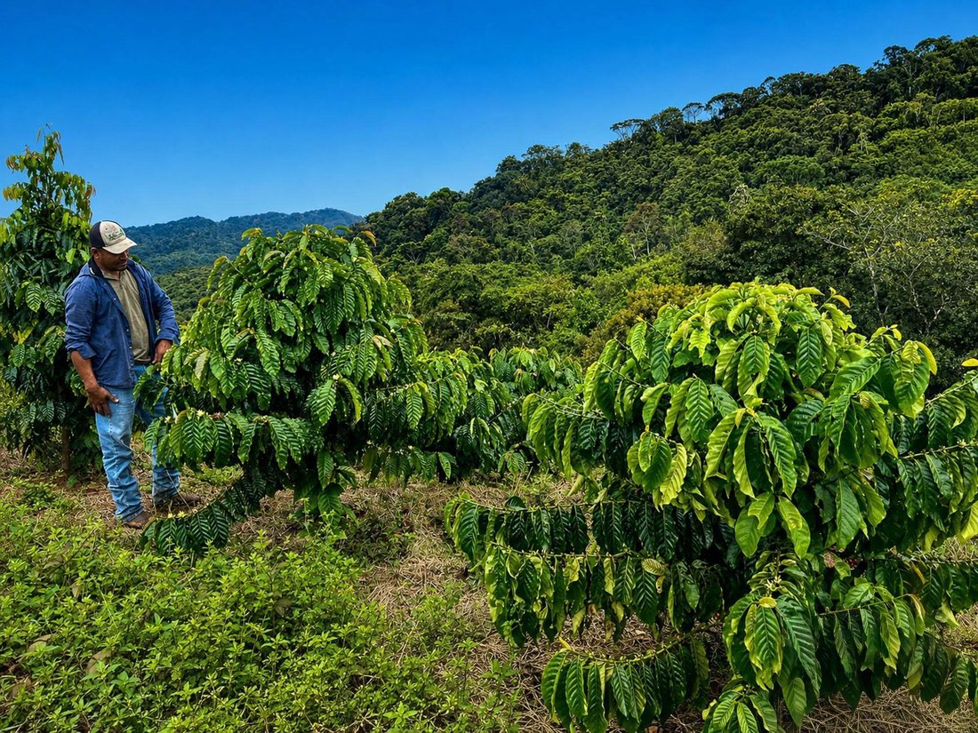 Finca in La Pintada, Coclé Province, Panama 5 - 17991067