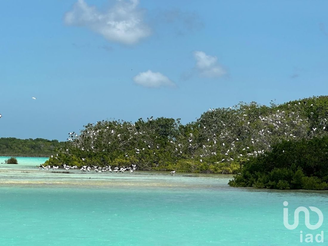 Land in Bacalar, Quintana Roo, Mexico 1 - 17993557