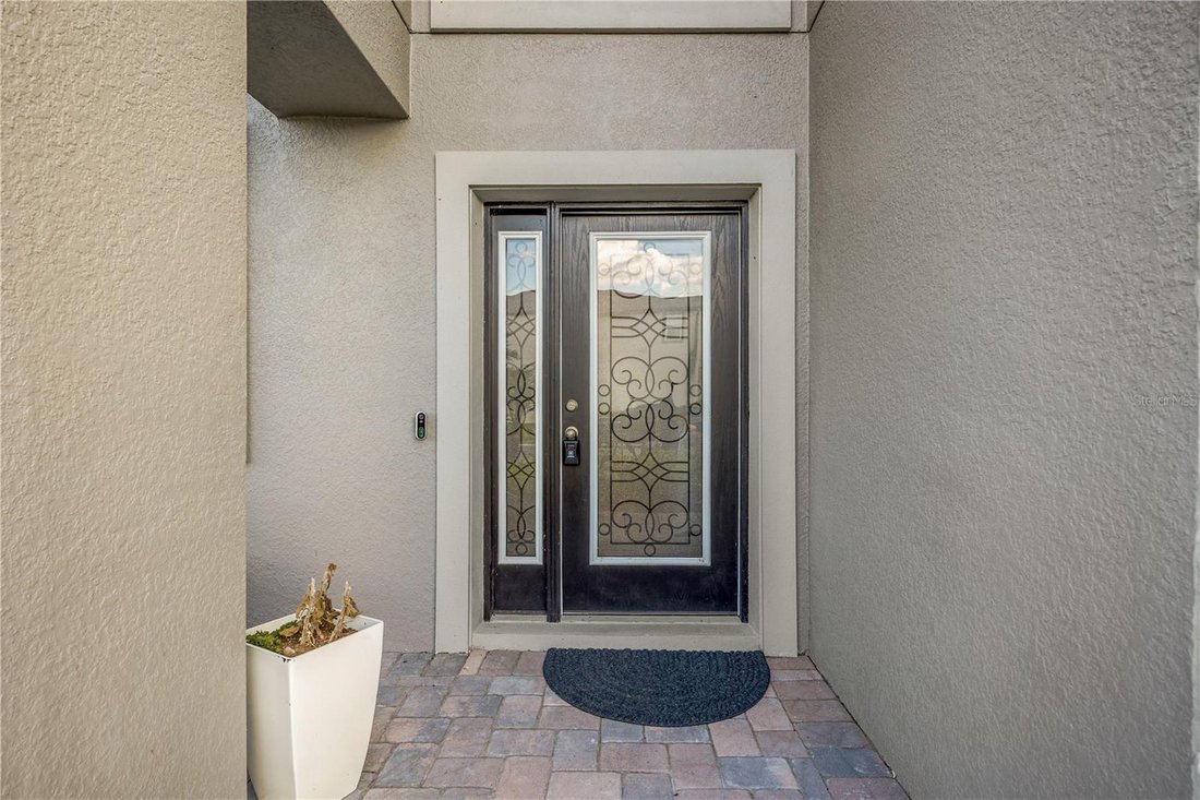 House in Wesley Chapel, Florida, United States 3 - 17987707